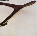 Wishbone Ash (1970) - Wishbone Ash