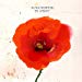 Bashung  Alain - En Amont