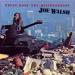 Joe Walsh - There Goes Neighborhood