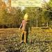 The Allman Brothers Band - Brothers And Sisters