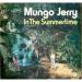 Mungo Jerry - In The Summertime