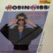 Robin Gibb - Boys Do Fall In Love