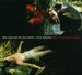 Nick & Bad Seeds Cave - Where The Wild Roses Grow