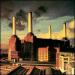 Pink Floyd - Animals