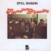 Flamin' Groovies - Still Shakin'