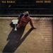 Taj Mahal - Going Home