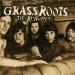 Grass Roots - The Runway