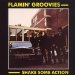 Flamin Groovies - Shake Some Action