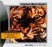 Survivor - Eye Of The Tiger
