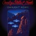 Crosby Stills & Nash - Daylight Again