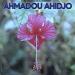 Dibango - Amadou Ahidjo