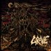 Grave - Endless Procession Of Souls
