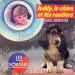 Jacques Hourdeaux - Teddy, Le Chien Et Les Routiers
