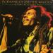 Bob Marley - Rasta Revolution