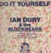 Dury Ian & The Blockheads - Do It Yourself