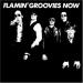 Flamin Groovies - Now