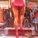 38 Special - Wild-eyed Southern Boys