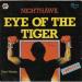 Theme Du  Film Rocky  Iii - Eye Of The Tiger