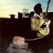 Albert Collins - Ice Pickin