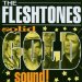 The Fleshtones - Solid Gold Sound