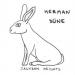 Herman Düne - Jackson Heights