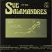 Sue Et Les Salamandres - En Scène