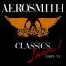 Aerosmith - Classics Live