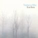 Fleetwood Mac - Bare Trees