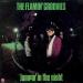 Flamin' Groovies - Jumpin' In The Night