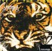 Survivor - Eye Of The Tiger