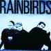 Rainbirds - Rainbirds