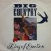 Big Country - King Of Emotion - France - 7'' Single Promo