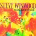Steve Winwood - Talking Back To The Night