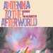Sonny & The Sunsets - Antenna To The Afterworld