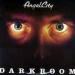 Angel City - Darkroom