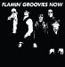 Flamin' Groovies - Now