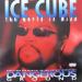 Ice Cube - World Is Mine