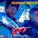 Herman Brood - Wait A Minute....