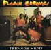 Flamin Groovies - Teenage Head