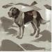 Maurice Gardett - Le Chien