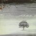 Genesis - Wind & Wuthering