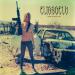 Elizabeth - Where Vultures Land