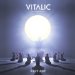 Vitalic - Rave Age