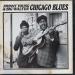 Johnny Young & Big Walter - Chicago Blues