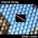 Gray, David - White Ladder