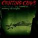 Counting Crows - Recovering Satellites