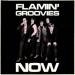Flamin Groovies - Now