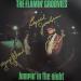 Flamin' Groovies - Jumpin' In The Night