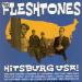 Fleshtones - Hitsburg Usa !