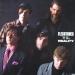 Fleshtones - Vs. Reality